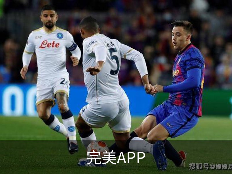 关于完美APP